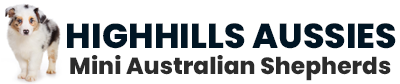 Highhills Aussies